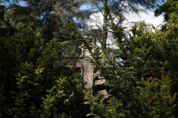 Steinernes Kreuz schaut hinter Tannenzweigen hervor